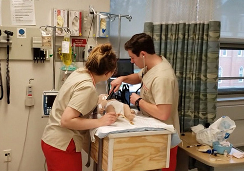 Healthcare simulation