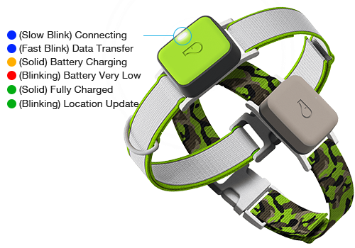 One Indicator, Multiple Modes